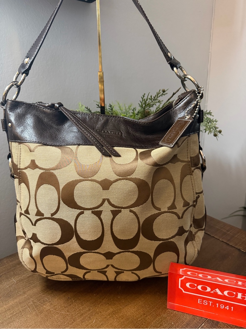 Coach Signature C Zoe Bag